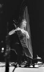 Lori Andrews